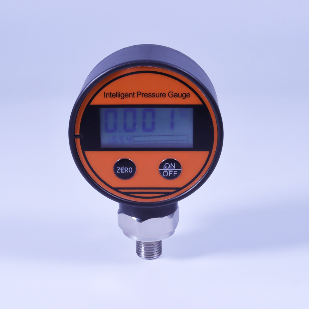 电池供电数显压力表 PT500-108